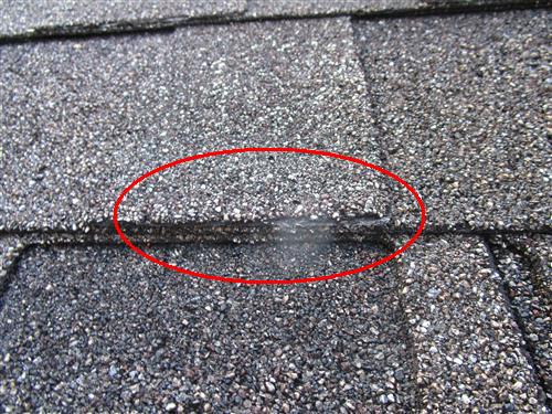 First Florida Home Inspection home inspection photo 11